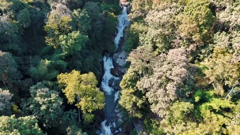 Aerial Mae Sae Waterfall cascading through jungle Chiang Mai Thailand 動画素材 331476354