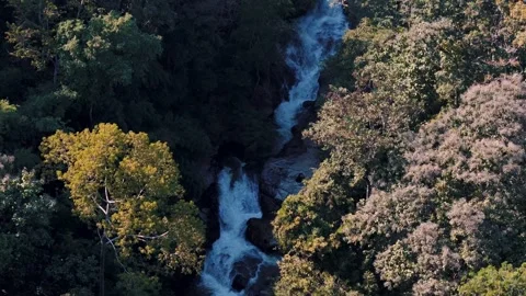 Aerial Mae Sae Waterfall cascading through jungle Chiang Mai Thailand Vidéo 331476358