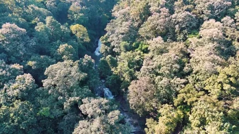 Aerial Mae Sae Waterfall cascading through jungle Chiang Mai Thailand Stock-Footage 331476371