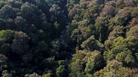Aerial Mae Sae Waterfall cascading through jungle Chiang Mai Thailand 動画素材 331476372