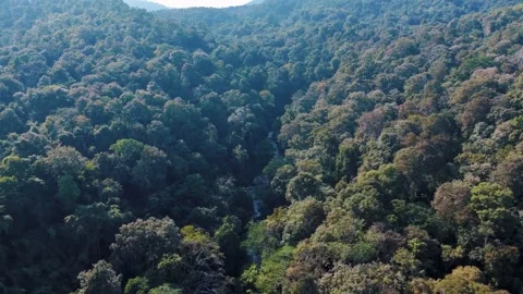 Aerial Mae Sae Waterfall cascading through jungle Chiang Mai Thailand Vidéo 331476373