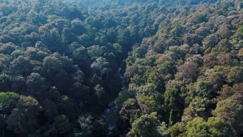 Aerial Mae Sae Waterfall cascading through jungle Chiang Mai Thailand Stock-Footage 331476387
