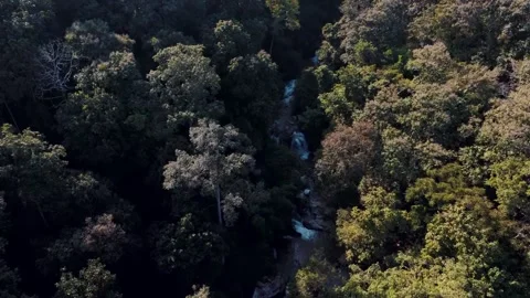 Aerial Mae Sae Waterfall cascading through jungle Chiang Mai Thailand Vidéo 331476412