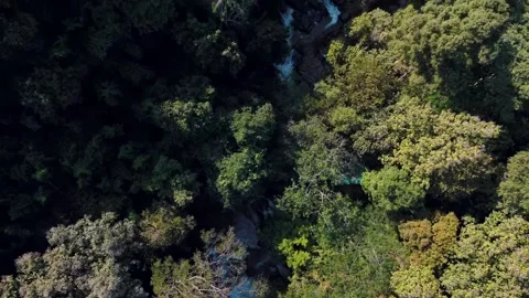 Aerial Mae Sae Waterfall cascading through jungle Chiang Mai Thailand Stock-Footage 331476413