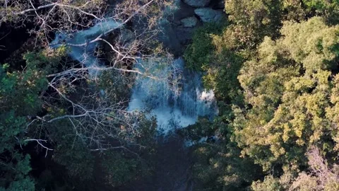 Aerial Mae Sae Waterfall cascading through jungle Chiang Mai 動画素材 331476414