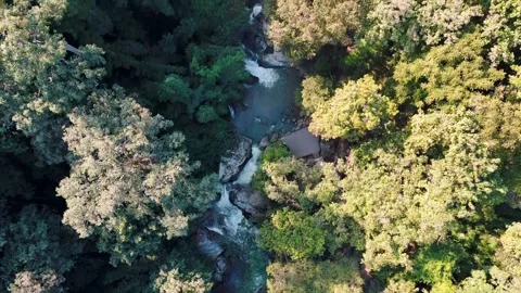 Aerial Mae Sae Waterfall cascading through jungle Chiang Mai Thailand 動画素材 331476417