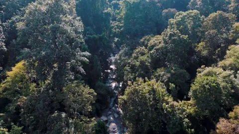 Aerial Mae Sae Waterfall cascading through jungle Chiang Mai Thailand Stock-Footage 331476473