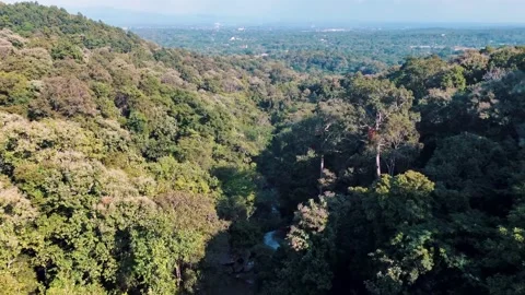 Aerial Mae Sae Waterfall cascading through jungle Chiang Mai 動画素材 331476490