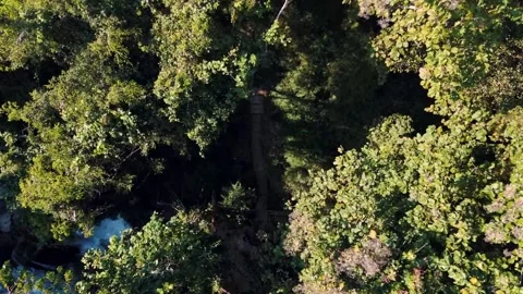 Aerial Mae Sae Waterfall cascading through jungle Chiang Mai Thailand Stock-Footage 331476499
