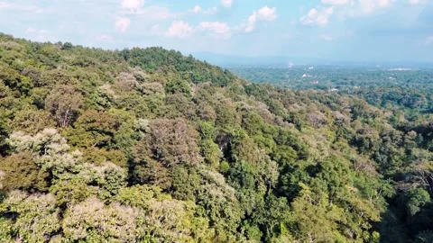 Aerial Mae Sae Waterfall cascading through jungle Chiang Mai Thailand Stock-Footage 331476524