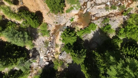 Aerial Majesty: Captivating Spring Forest and Hiking Adventure from Above Stock Footage 243175883