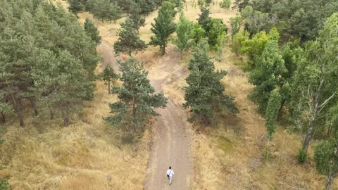 Aerial man forest Stock Footage 240766735