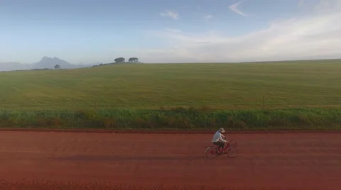 Aerial of Man Riding Bicycle on Dirt Road Between Lush Green Field, Landscape Stock Footage