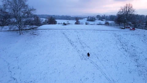 Aerial of a man sledding down a snowy hill at sunset, Uster, Switzerland Stock Footage 322730739