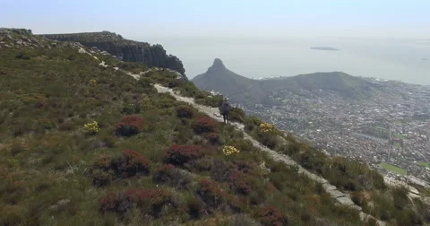 Aerial of Man Walking on Top of Table Mountain, Cape Town Stock Footage 60115077