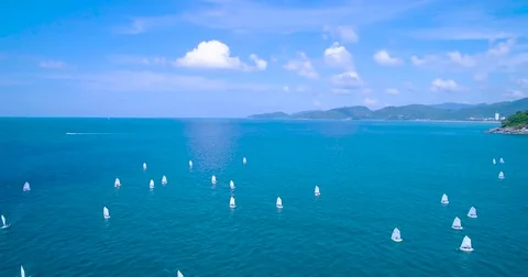 Aerial: Many small sailboat float in the sea. Regatta. Stock Footage 83405165