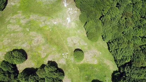 Aerial map of the Maple valley, a mountain road between woods and green meadows Stock-Footage 77413717