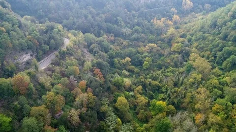 Aerial map of the Maple valley, a mountain road between woods and green meadows Stock-Footage 82731711