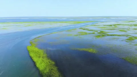 Aerial of Marsh Stock Footage 135994540
