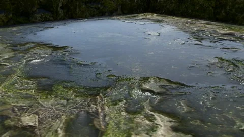 Aerial Marsh Puddle Reflection Nature Texture Stock Footage 347176247