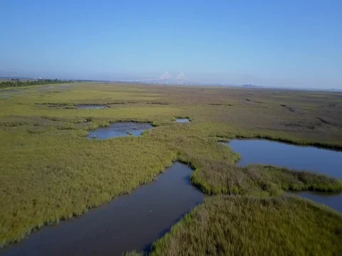 Aerial Marshland Stock Footage 76219670