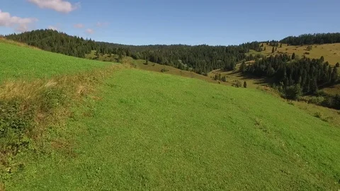 Aerial meadow and forest Stock Footage 79030046