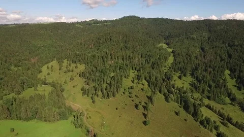 Aerial meadow and forest Stock Footage 79031180