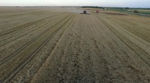 Aerial - Medium Shot of Multiple Combines Stock-Footage 65317539