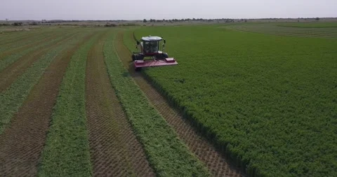 Aerial Medium of a Swather - Push Out Stock Footage 221861967