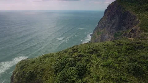 Aerial: Mercer bay cliffs and coastline, New Zealand 库存影片 169496381