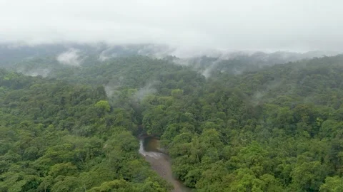 Aerial mist over rainforest river in San Cipriano Video stock 331410113