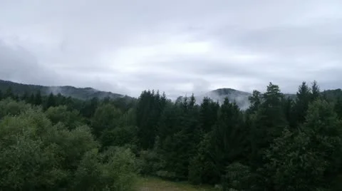 AERIAL: Misty forest Stock Footage 20566395