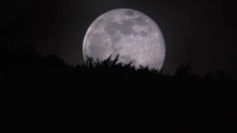 Aerial of a Moon through the trees on a clear night Stock Footage 233667986