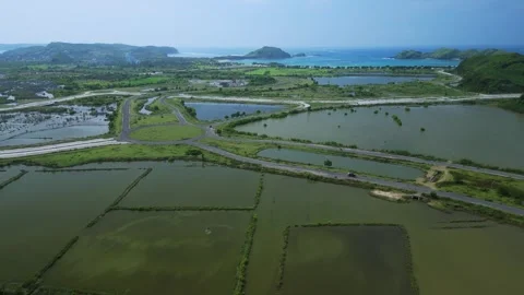 Aerial Mosaic Of Rice Fields Tidal Lagoons Coastal Panorama Stock Footage 328217062