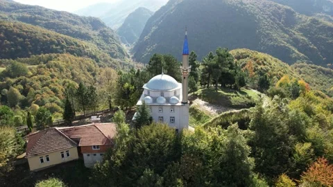 Aerial mosque and forest Stock Footage 223612805