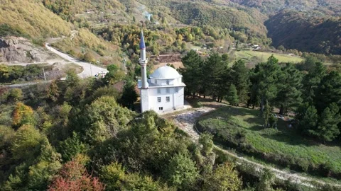 Aerial mosque in nature Stock Footage 223588884