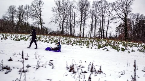 Aerial of mother pulling child with sled in winter Stock-Footage 147294485