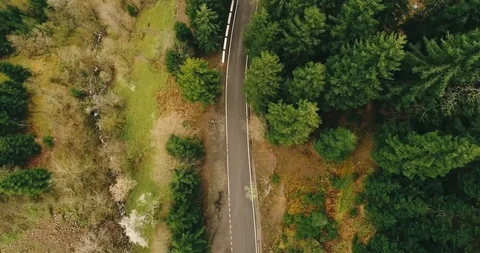 Aerial: Motion view over the road spreading through wild forest 4K Stock Footage 87912854