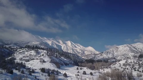 Aerial Mount Nebo Utah flight forest to peak winter snow 4K Stock Footage 72201149