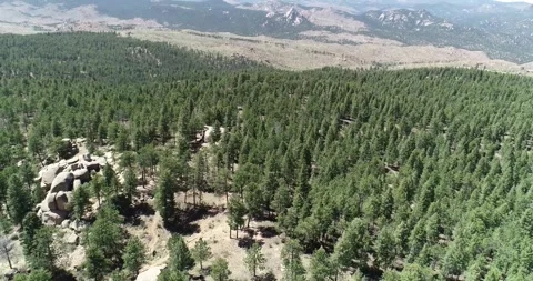 Aerial Mountain Forest 8 seconds Stock Footage 279859145