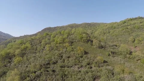 Aerial mountain forest Stock Footage 185662047