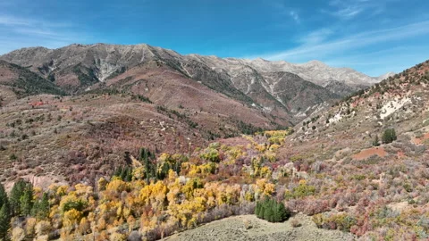 Aerial mountain forest Mount Nebo autumn 4K Stock Footage 219531908