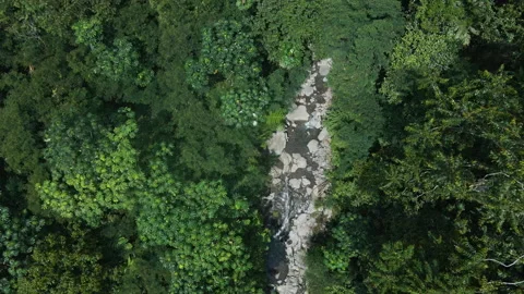 Aerial Mountain Forest River Flow Stock Footage 309327645