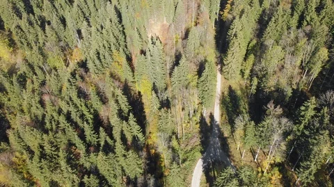 Aerial mountain forest view Stock Footage 100187689