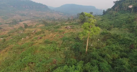 Aerial mountain kulen Stock Footage 61507414