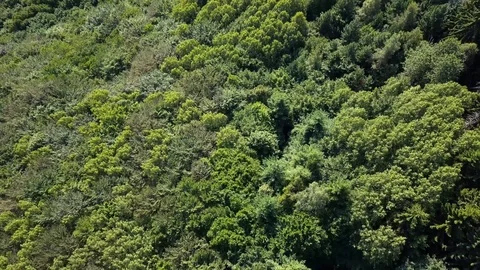 Aerial Mountain Landscape Video stock 77635269