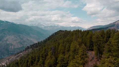 Aerial Mountain Landscape with Pine Forest and Snow Covered Peaks 库存影片 333032556