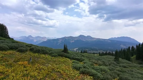 Aerial Mountain Meadow Flyover Toward Little Molas Lake with Summer Hiker Stock Footage 342612652