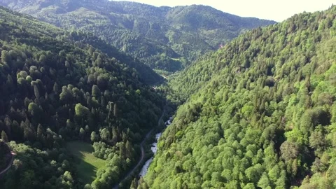 Aerial mountain meadow within forest glade steep slopes valley terrain texture Stock Footage 333772469