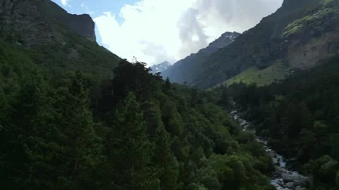 Aerial: Mountain River Between the Spruce Forest in the Caucasus 스톡 동영상 289444896